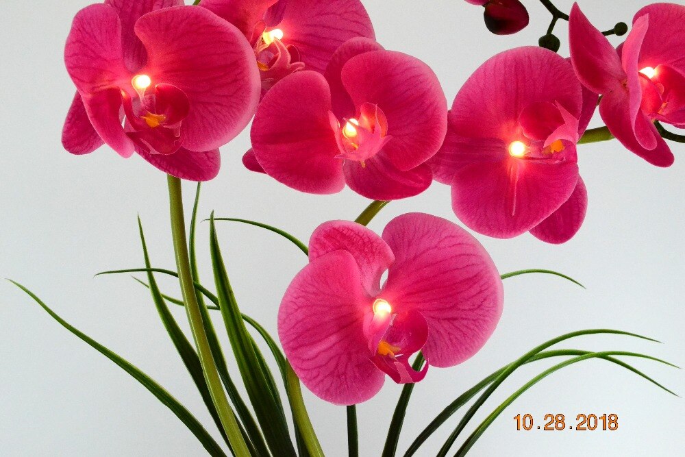 Free Shipping 20"( 50cm) LED Blossom Real Touch Orchid Flower Bonsai 9 PCs Warm White LED /Lighted Flowers with 2*AA Battery pot