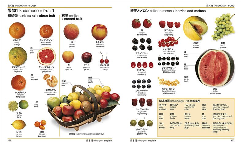 Japanese-English Bilingual Visual Dictionary Original Language Learning Books